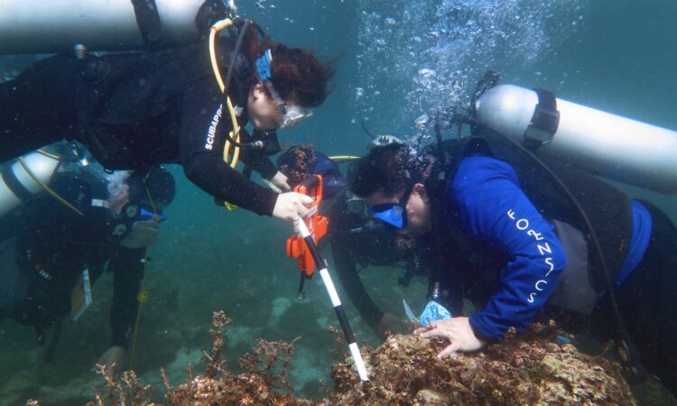 Two underwater scuba divers use a device on a coral reef.